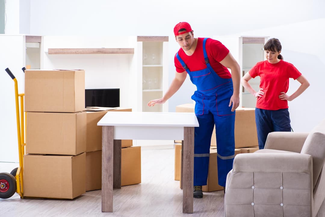Full Apartment Setup for Busy Professional in Ottawa